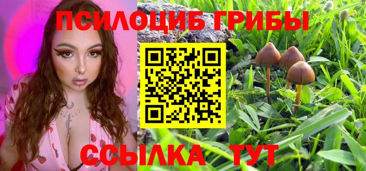 Галлюциногенные грибы прущие грибы  Вход с VPN  Кингисепп 
