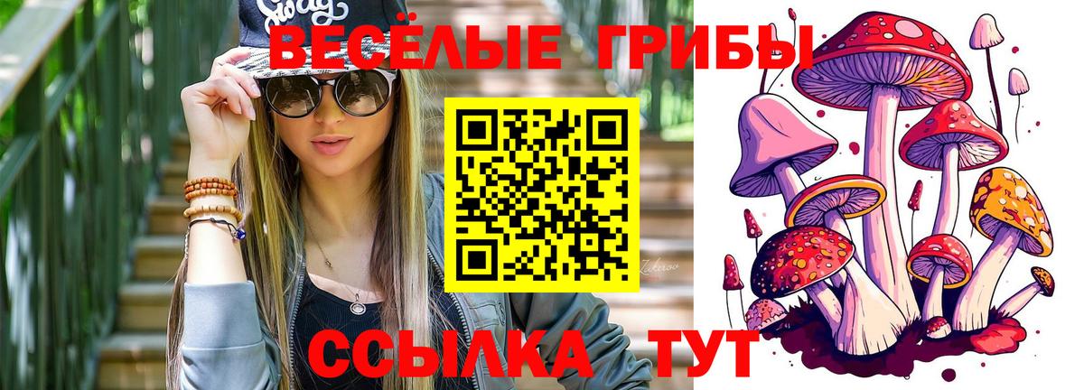 Галлюциногенные грибы мухоморы Кингисепп